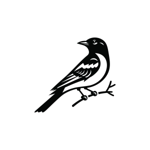 Oriole Bird SVG, Bird on Branch SVG Bird SVG