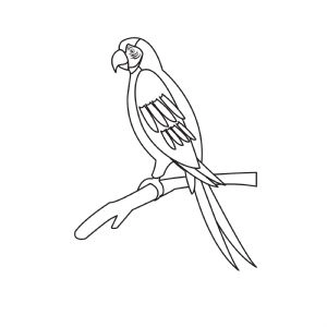 Parrot Clipart SVG, Parrot On Branch SVG Instant Download Bird SVG