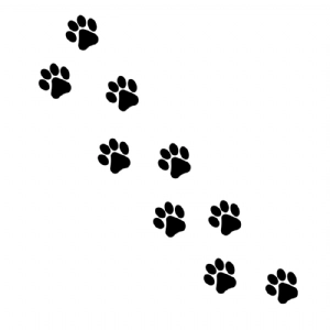 Paws Prints SVG Cut Files, Animal Tracks Clipart Dog SVG
