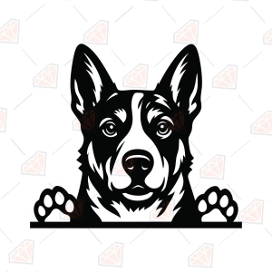 Peeking Blue Heeler SVG, Australian Cattle Dog SVG