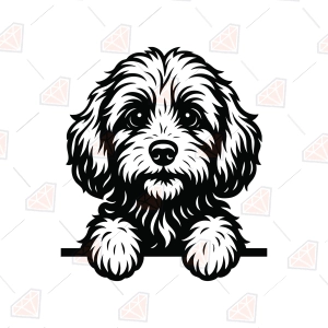 Peeking Cavapoo SVG – Dog Cavapoo Peeking Cut File
