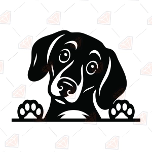 Peeking Dachshund Face SVG –  Dachshund Peeking Cut File