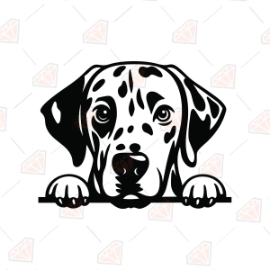 Peeking Dalmatian SVG – Dalmatian Dog Cut File