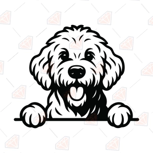 Peeking Goldendoodle Dog SVG