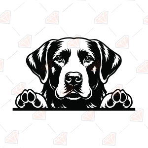 Peeking Labrador Retriever SVG