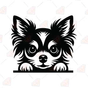 Peeking Longhair Chihuahua SVG