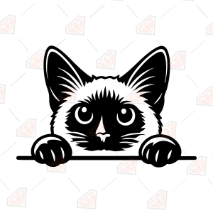 Peeking Siamese Cat SVG