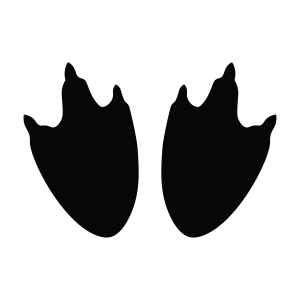 Penguin Feet SVG Svg