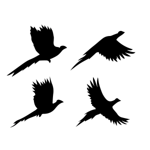 Pheasant SVG, Flying Pheasant Bird SVG Bird SVG
