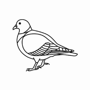 Pigeon SVG, Line Drawing Pigeon SVG Bird SVG