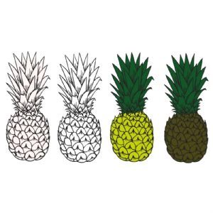 Pineapple Bundle SVG, Fruit SVG Instant Download Pineapple SVG