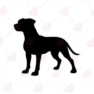 Pitbull Silhouette SVG