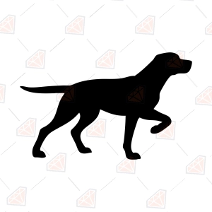 Pointer Dog Silhouette SVG