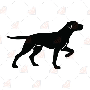 Pointer Dog SVG – Pointer Breed Silhouette Cut File