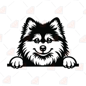 Pomsky SVG – Peeking Pomsky Dog Cut File