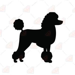 Poodle SVG, Poodle Silhouette SVG