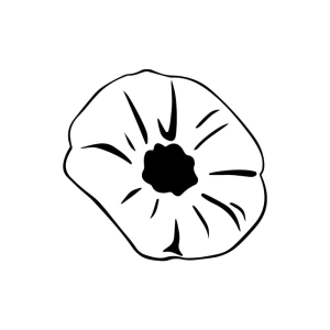 Poppy Flower SVG, Remembrance Day Flower SVG