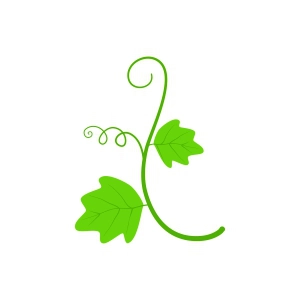 Branch of Pumpkin Leaves SVG, Pumpkin Leaf SVG Leaves SVG