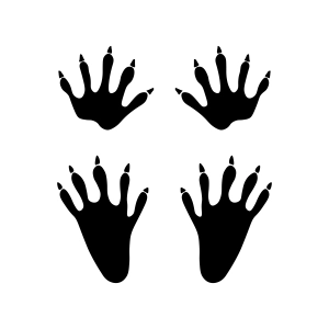 Raccoon Track SVG, Coon Footprints Animal SVG