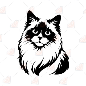 Ragdoll Cat SVG