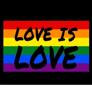 Love Is Love Flag SVG, Gay Pride Flag SVG Lgbt Pride SVG