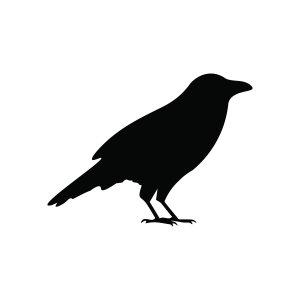 Raven SVG, Raven Silhouette Bird SVG Bird SVG
