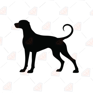 Rhodesian Ridgeback SVG – Ridgeback Silhouette