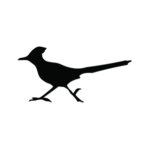 Roadrunner SVG, Bird Roadrunner Silhouette Bird SVG