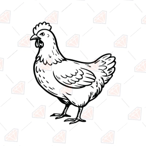 Rooster Outline SVG