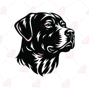 Rottweiler Head SVG – Rottweiler Face Silhouette
