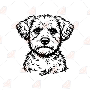 Schnoodle SVG – Schnoodle Dog Cut File