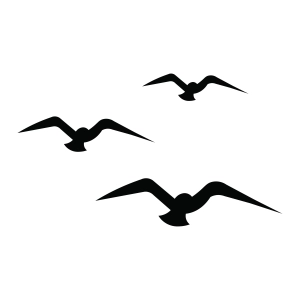Seagulls SVG, Flying Seagulls Birds SVG Bird SVG