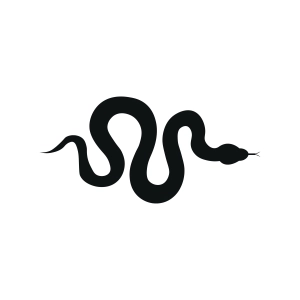 Snake Silhouette SVG, Snake SVG Insects/Reptiles SVG
