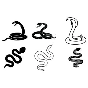 Snakes SVG Cut & Clipart Files Insects/Reptiles SVG