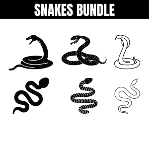 Snakes SVG Cut & Clipart Files Insects/Reptiles SVG