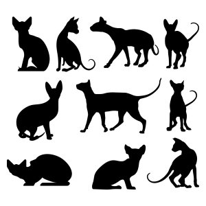 Sphynx Cat Silhouettes SVG Bundle, Cut and Clipart Files Cat SVG