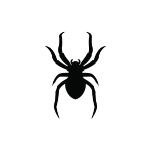 Spider Logo SVG,  Black Spider Clipart File Insects/Reptiles SVG