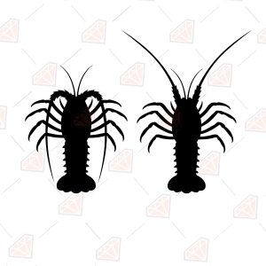 Spiny Lobster SVG – Lobster Silhouette Cut File
