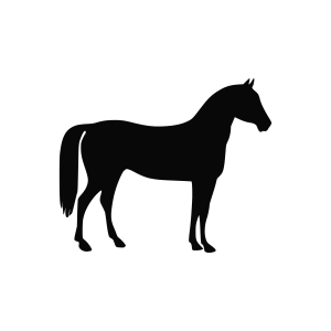 Standing Horse SVG, Horse Silhouette Horse SVG