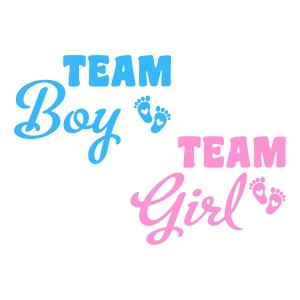 Team Girl Team Boy SVG, Pink or Blue SVG Baby SVG