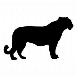 Tiger SVG Cut files, Tiger Silhouette Wild & Jungle Animals SVG
