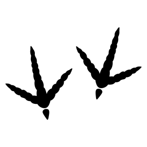 Turkey Footprint SVG Svg
