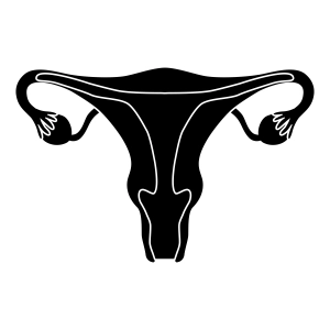 Uterus SVG Vector Cut File, Uterus Clipart SVG Instant Download Anatomy (Skeleton And Skull)