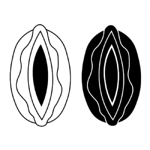 Vagina SVG, Vagina Clipart Cut Files Instant Download Drawings