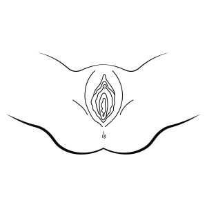 Vulva Anatomy SVG, Vagina SVG Vector Illustration