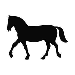 Walking Horse SVG Silhouette Horse SVG