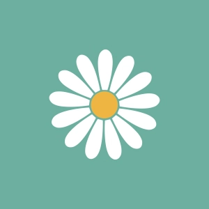 White Daisy SVG Daisy SVG