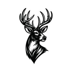 Whitetail Deer SVG Svg