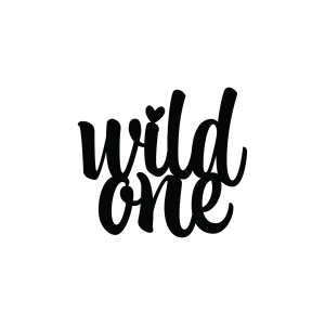 Wild One SVG Cut File Cake Topper SVG