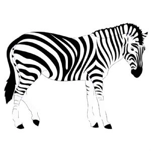 Zebra SVG, Zebra Vector Instant Download Wild & Jungle Animals SVG